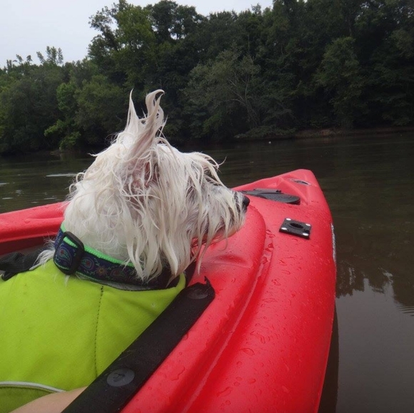 Meet your Posher - Picture 5 of 6